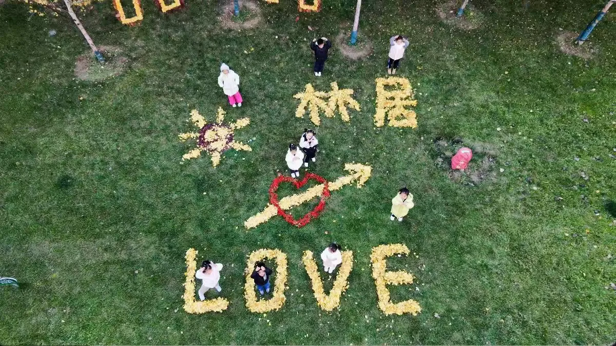 落叶“框”景 温情入画 经发物业清扫行动巧变社区创意艺术展