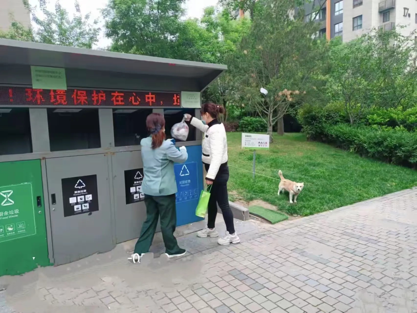 66c8db3fe4cf4fc9a8b3af9cd70054d2__transed__jpg.heic~tplv-flrovnc8r8-s2-cC-q_0_0_0_0_q80.jpg