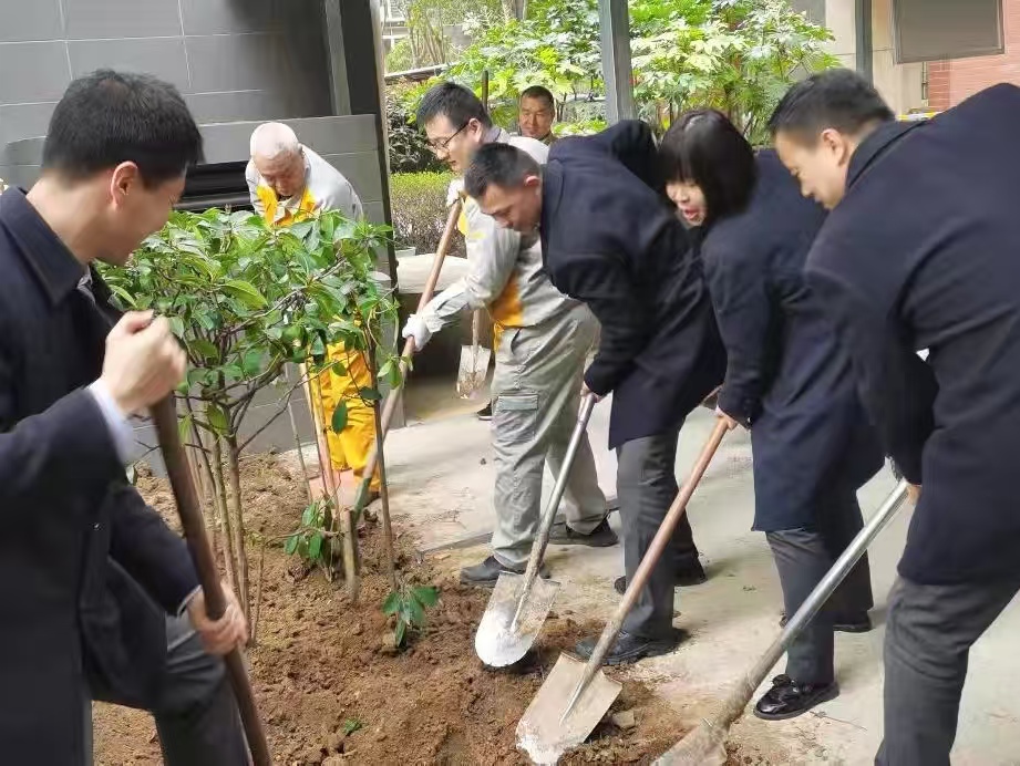 同添新绿 共“植”未来 经发物业开展植树节主题活动