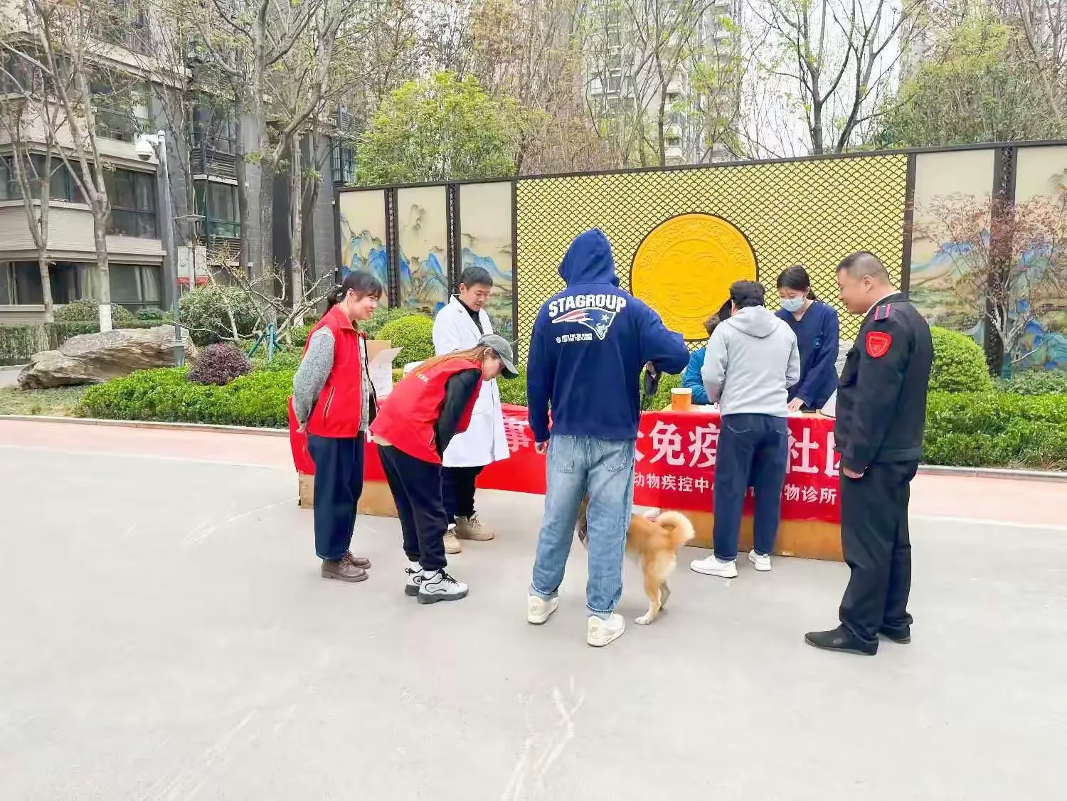 小细节彰显大文明 经发物业开展文明养犬宣传与宠物疫苗接种工作