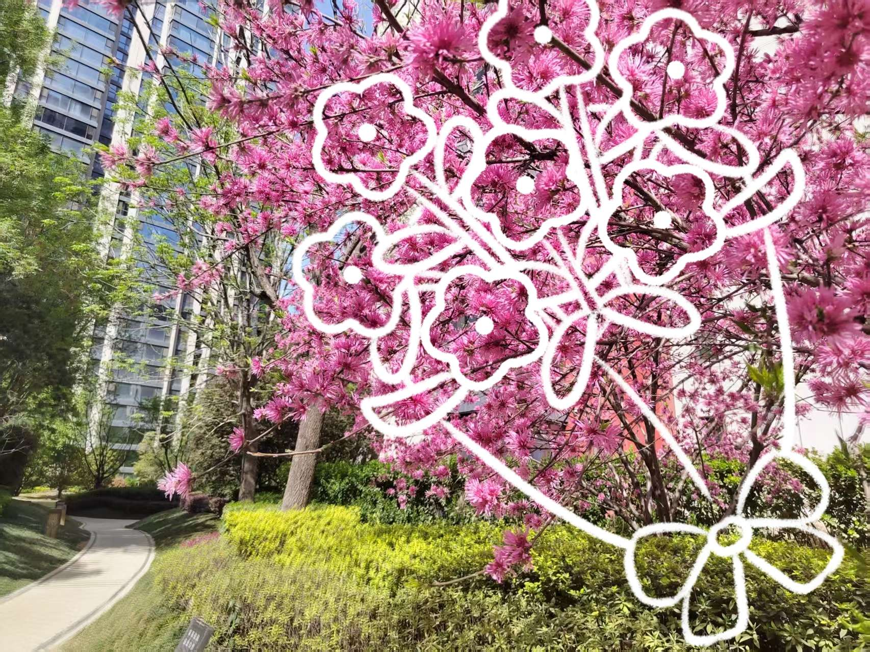 春日进行计划 | 经发物业春日摄影大赛投票开启！
