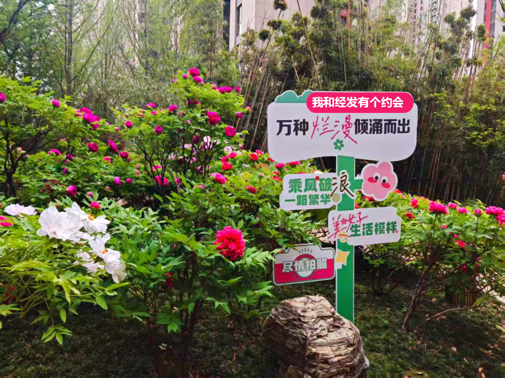 C位出道 坐标经发 | 新晋网红打卡地就在您家楼下！
